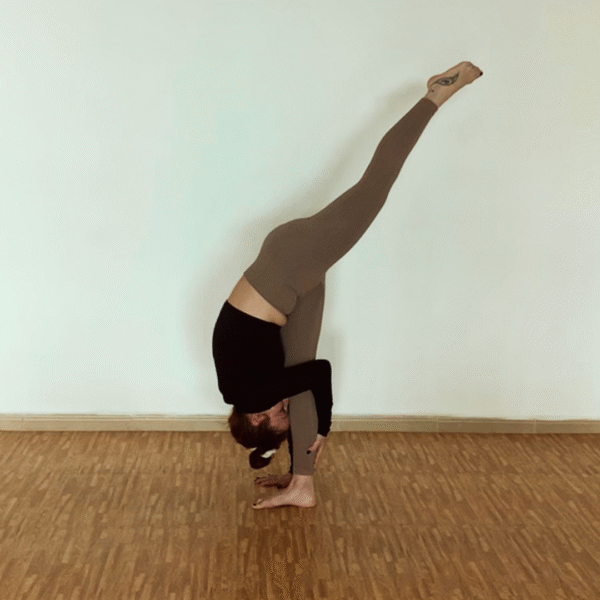 Clases de Vinyasa Yoga en El Ejido