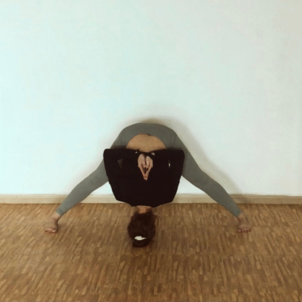 Clases de Vinyasa Yoga en El Ejido