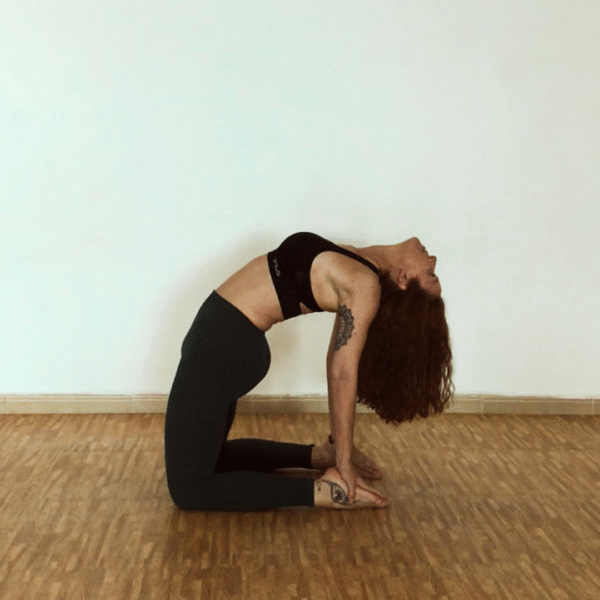 Clases de hatha yoga el Ejido