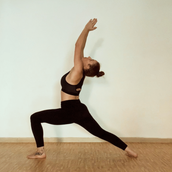 Clases de hatha yoga el Ejido