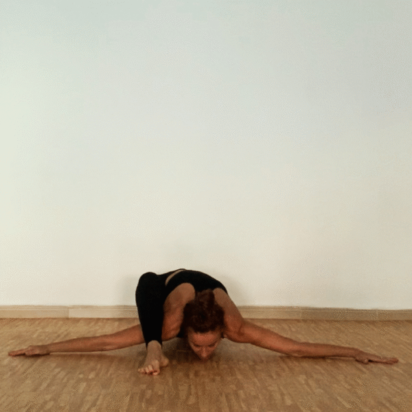 Clases de hatha yoga el Ejido