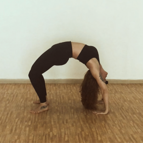 Clases de Ashtanga Yoga en El Ejido