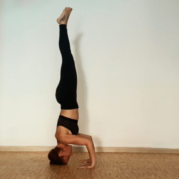 ASHTANGA YOGA - Imagen 3