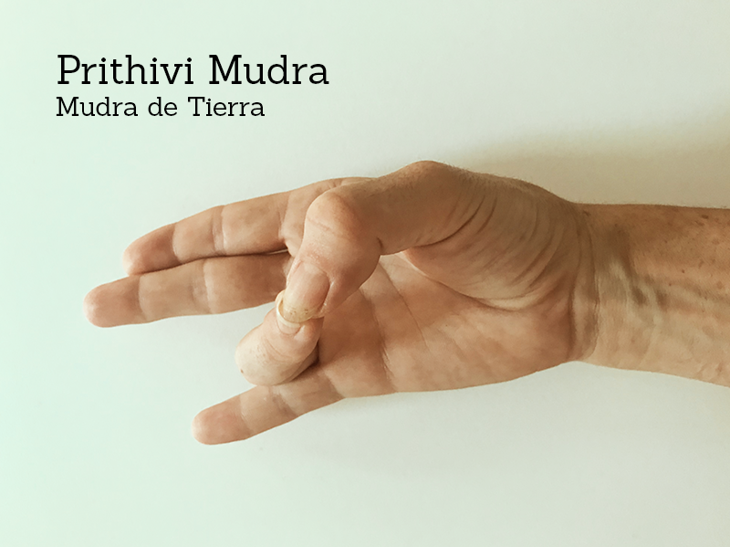 PRITHIVI MUDRA