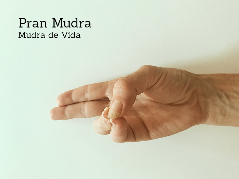 Pran Mudra - Mudra de Vida