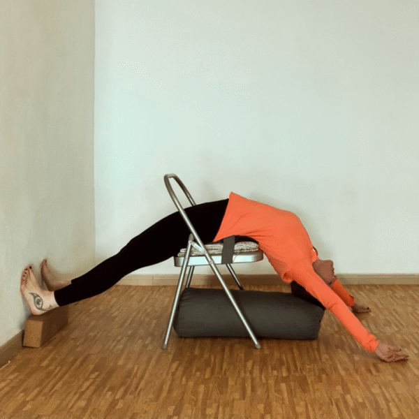 Clases de Iyengar yoga el Ejido