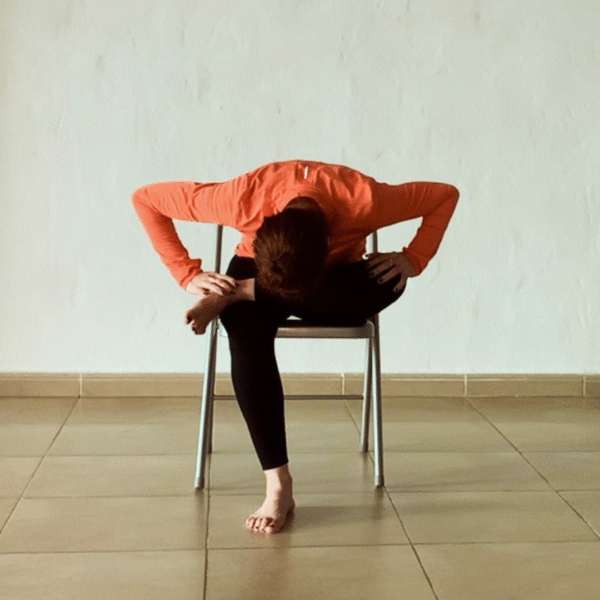 Clases de Iyengar yoga el Ejido