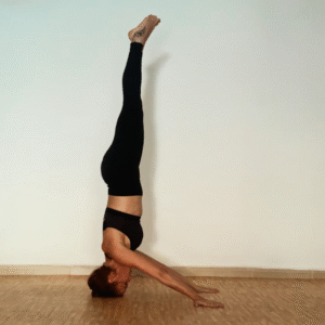 Clases de Ashtanga Yoga en El Ejido